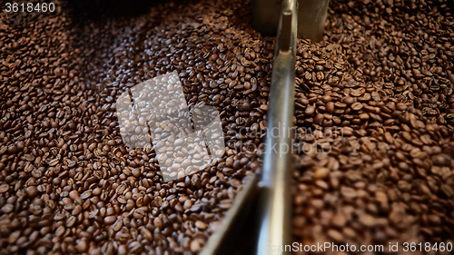 Image of Freshly roasted coffee beans