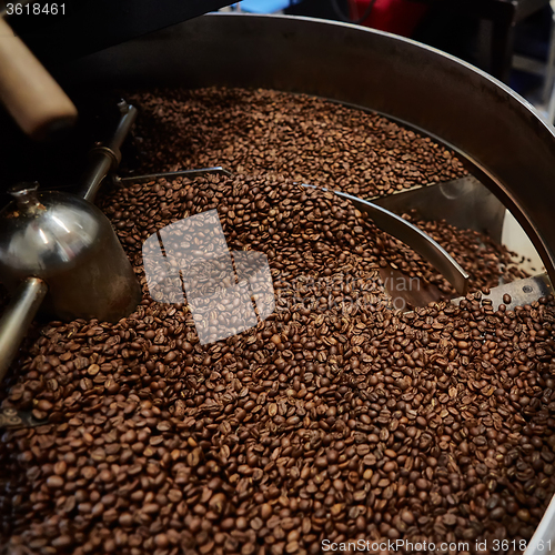 Image of Freshly roasted coffee beans