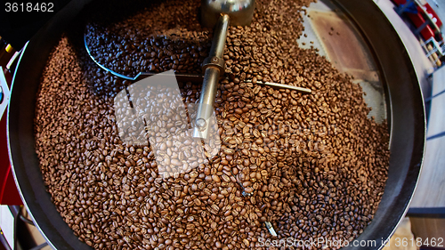Image of Freshly roasted coffee beans