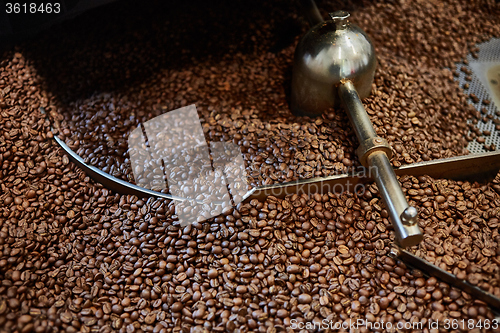 Image of Freshly roasted coffee beans