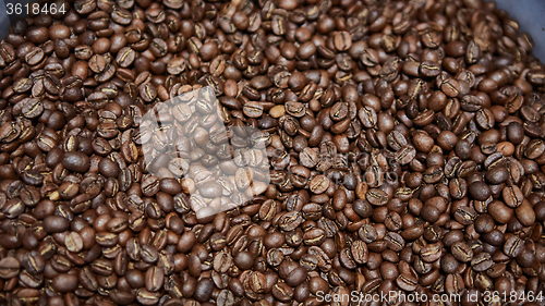 Image of Freshly roasted coffee beans