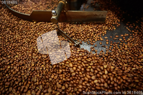 Image of Freshly roasted coffee beans