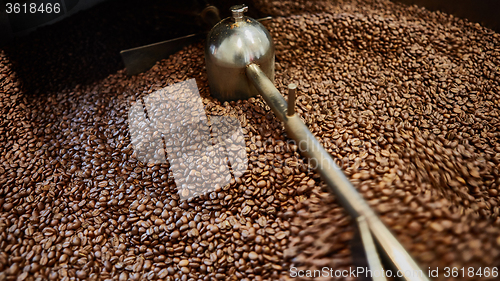 Image of Freshly roasted coffee beans