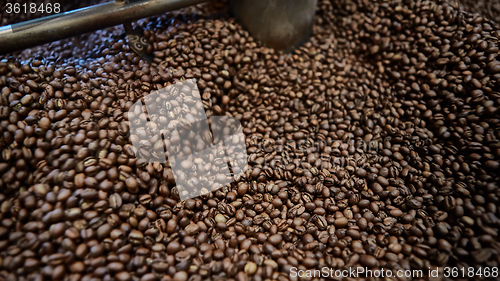 Image of Freshly roasted coffee beans