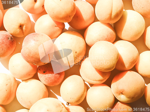 Image of Retro looking Apricots
