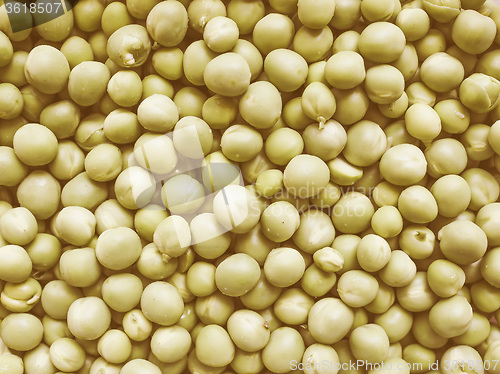 Image of Retro looking Green peas vegetable background