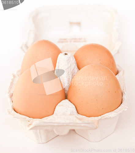 Image of Retro looking Eggs picture