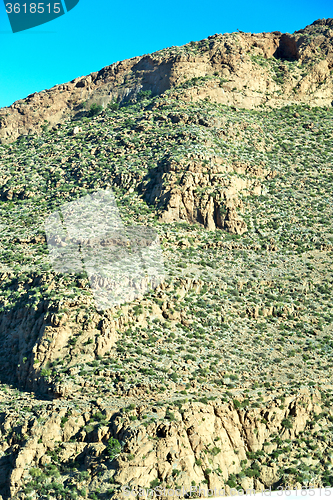 Image of brown bush  in    morocco      atlas dry mountain  
