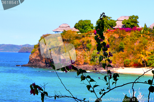 Image of andilana beach seaweed in indian ocean madagascar mountain   