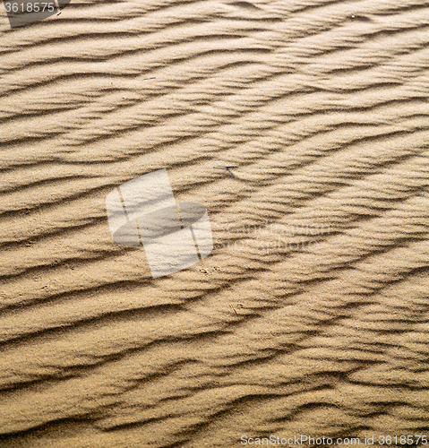 Image of the brown sand dune in the sahara morocco desert 