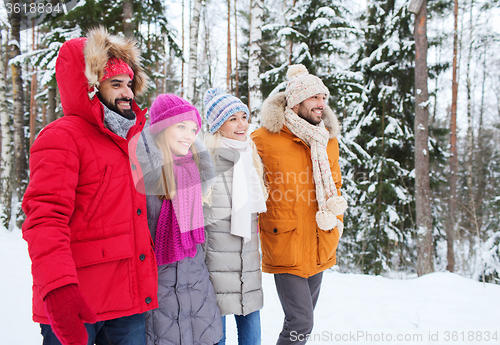 Image of group of smiling men and women in winter forest