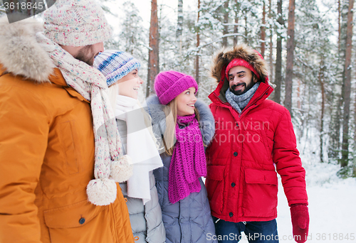 Image of group of smiling men and women in winter forest