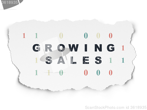 Image of Business concept: Growing Sales on Torn Paper background