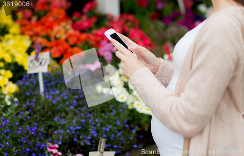 Image of pregnant woman with smartphone at flower market