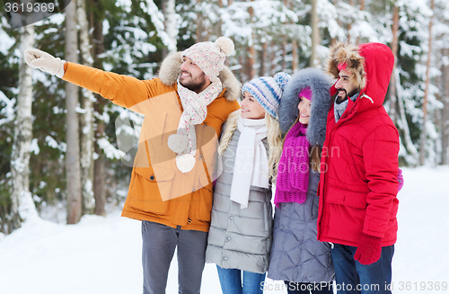 Image of group of smiling men and women in winter forest