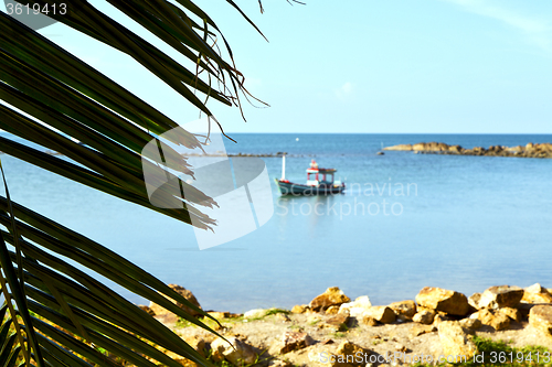 Image of asia   kho phangan     beach    rocks  palm and south china sea 