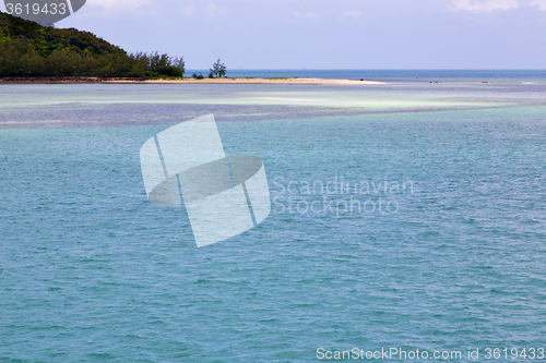 Image of  south   thailand kho  coastline of a green lagoon and tree 