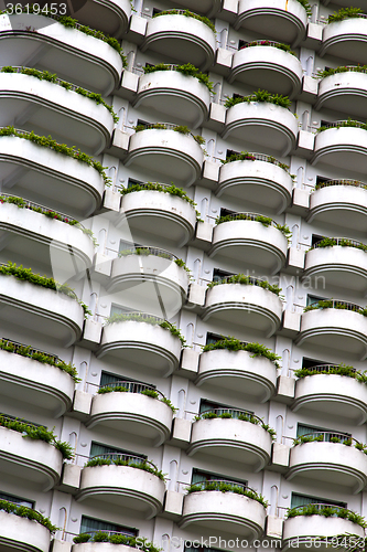 Image of   terrace   the centre  bangkok thailand plant bush flowers