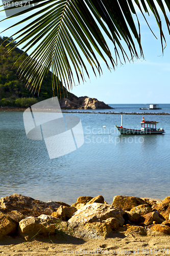 Image of asia   beach    rocks pirogue palm and south china sea 