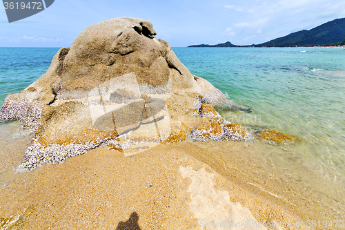 Image of asia   isle white  beach     in  south china sea kho samui  