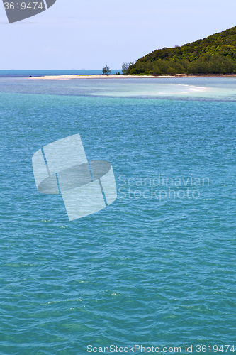 Image of  kho   bay  coastline   green lagoon and tree 