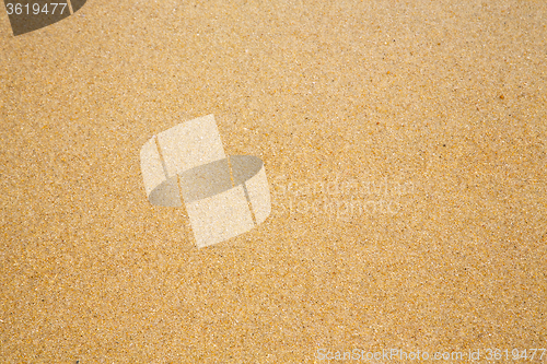 Image of footstep kho samui  abstract texture south china sea 
