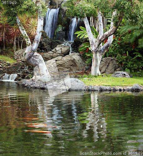 Image of Japanese Garden