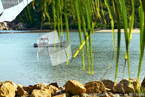 Image of asia in  kho phangan   palm and south   sea 