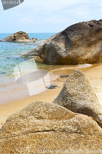 Image of kho    beach  tree  rocks in thailand  and  china sea 