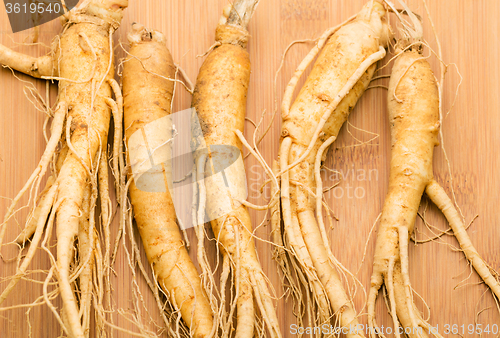 Image of Ginseng