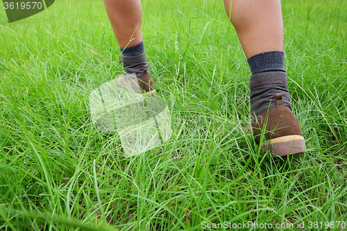 Image of Hiking shoes on grass