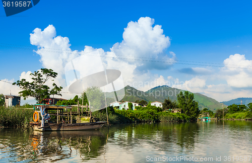 Image of Beautiful wetland