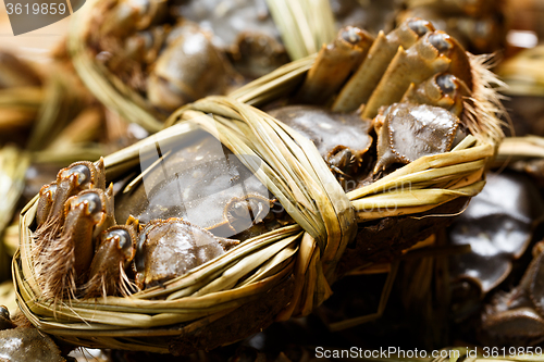 Image of Chinese Yangcheng Lake crab