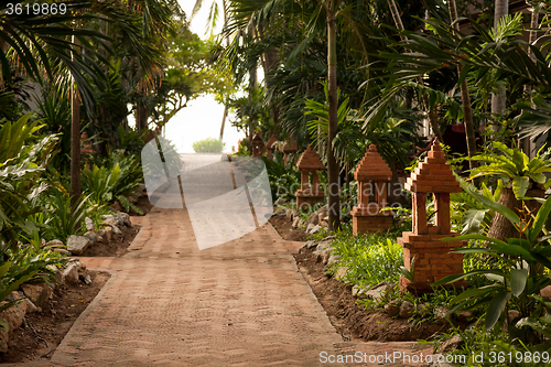 Image of tropical garden and  the road to sea beach