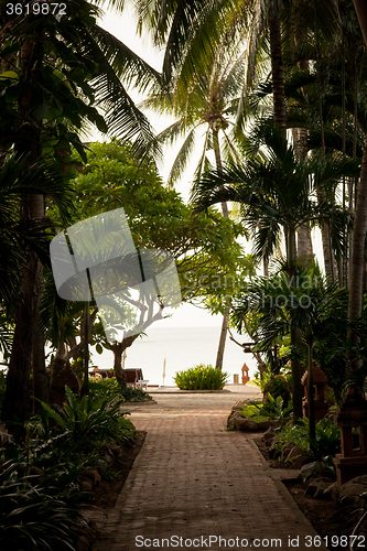 Image of tropical garden and  the road to sea beach