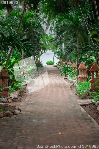 Image of tropical garden and  the road to sea beach