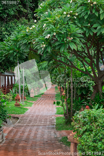 Image of tropical garden and  the road 