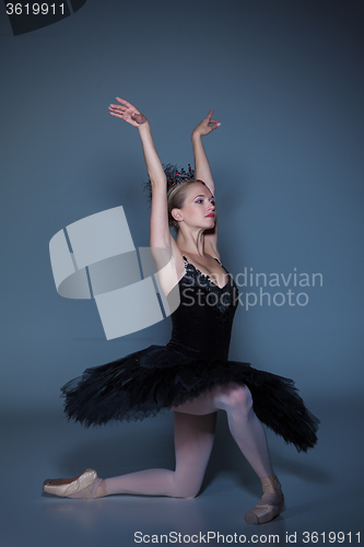 Image of Portrait of the ballerina in ballet tatu on blue background