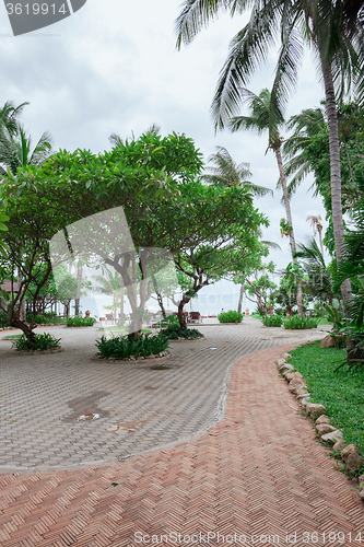 Image of tropical garden and  the road to sea beach