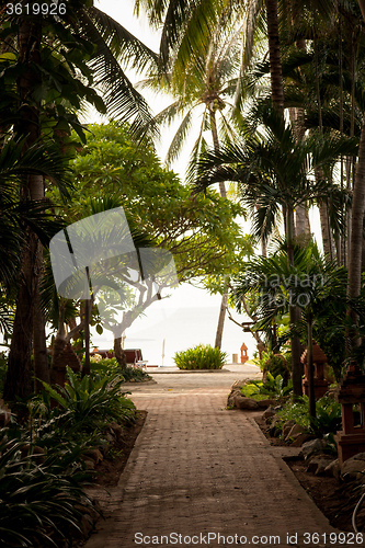 Image of tropical garden and  the road to sea beach