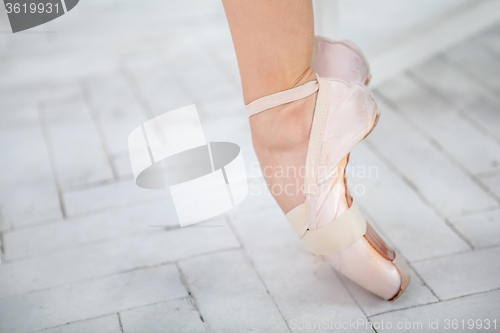 Image of the leg of a ballerina on white background