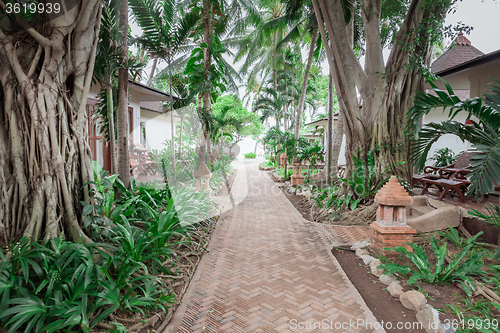 Image of tropical garden and  the road to sea beach