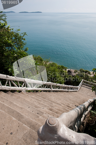 Image of tropical garden and  the road to sea beach