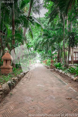 Image of tropical garden and  the road to sea beach