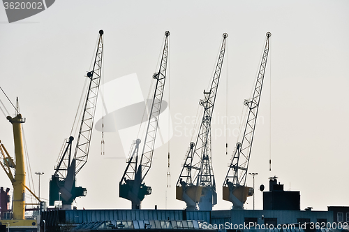 Image of sea cargo port large cranes