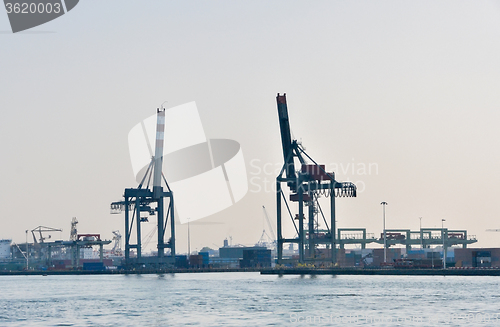 Image of Rotterdam sea cargo port skyline