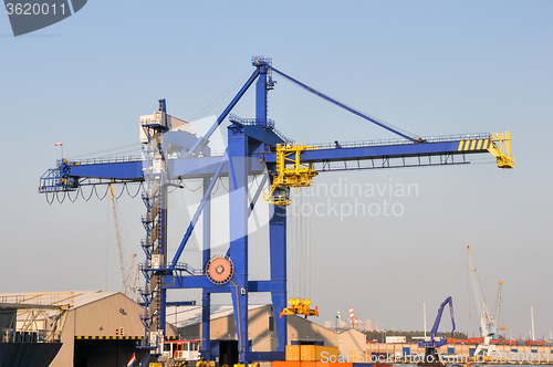 Image of sea cargo port large cranes