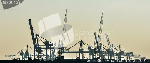 Image of the sea cargo port skyline