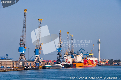 Image of Rotterdam sea cargo port skyline