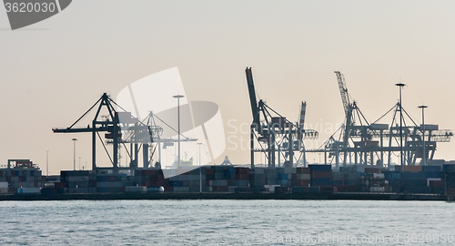 Image of Rotterdam sea cargo port skyline